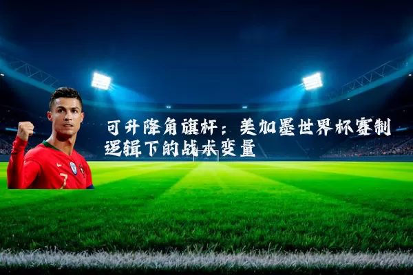 可升降角旗杆：美加墨世界杯赛制逻辑下的战术变量